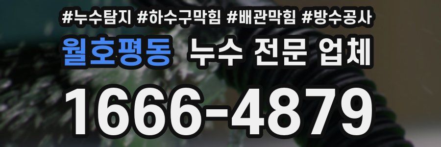 월호평동 누수 전문 업체