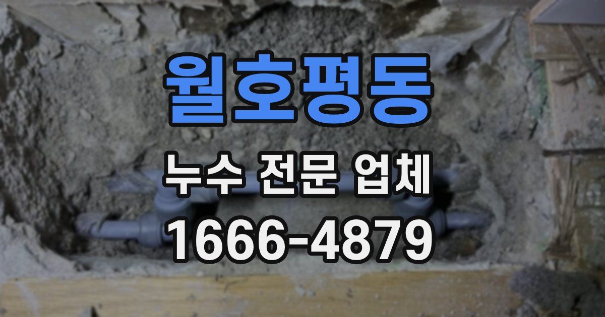월호평동 누수 전문 업체