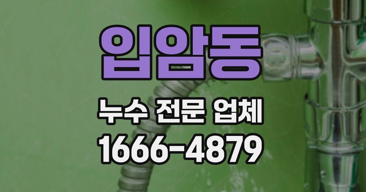 입암동 누수 전문 업체