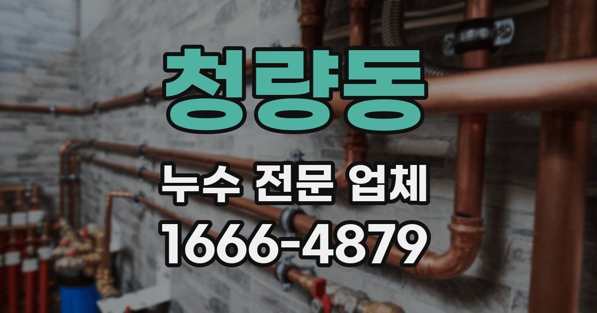 청량동 누수 전문 업체