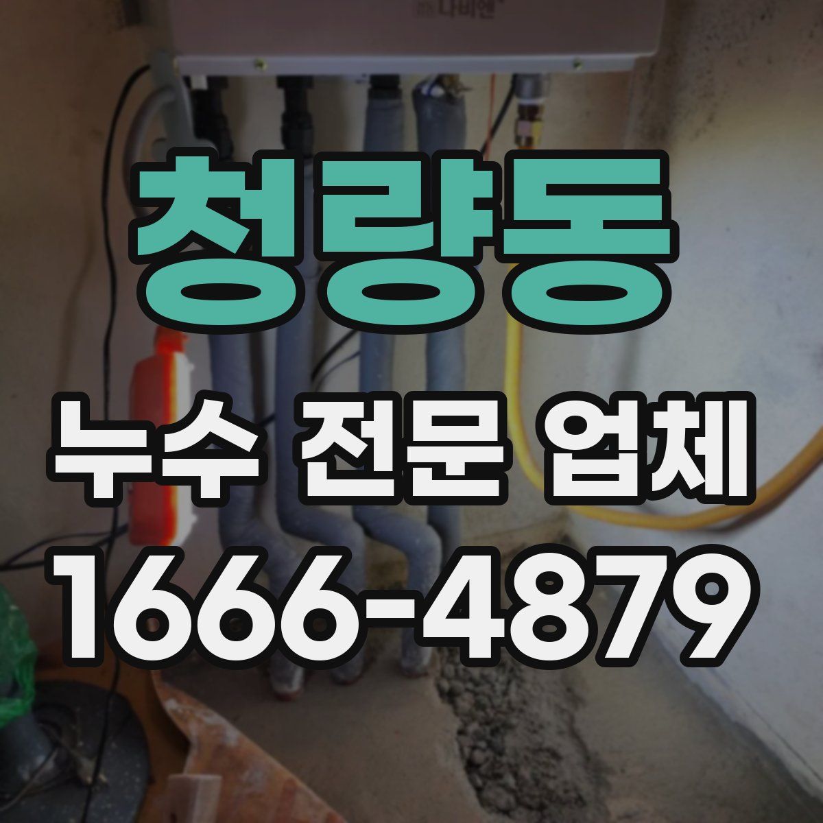 청량동 누수 전문 업체
