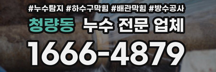 청량동 누수 전문 업체