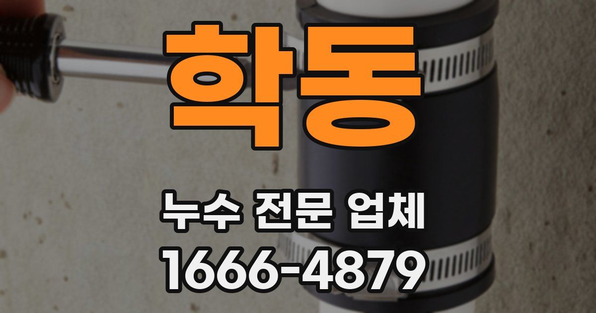 학동 누수 전문 업체