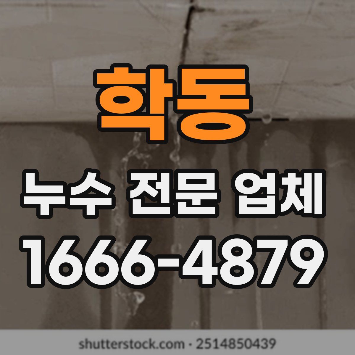 학동 누수 전문 업체