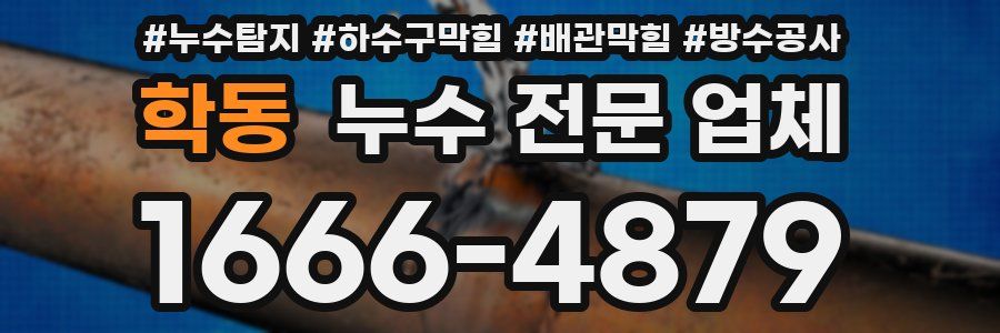 학동 누수 전문 업체