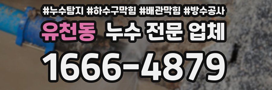 유천동 누수 전문 업체