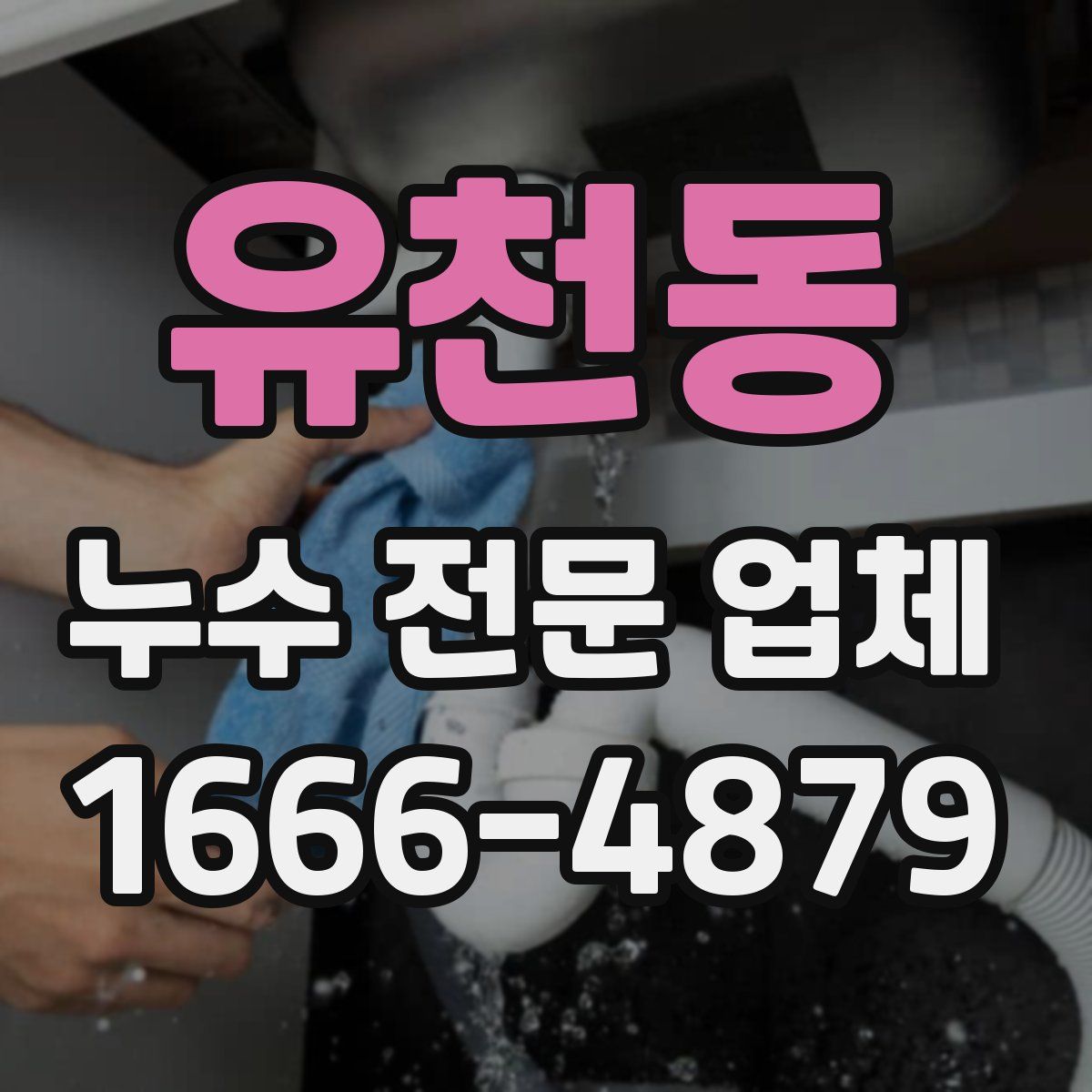 유천동 누수 전문 업체