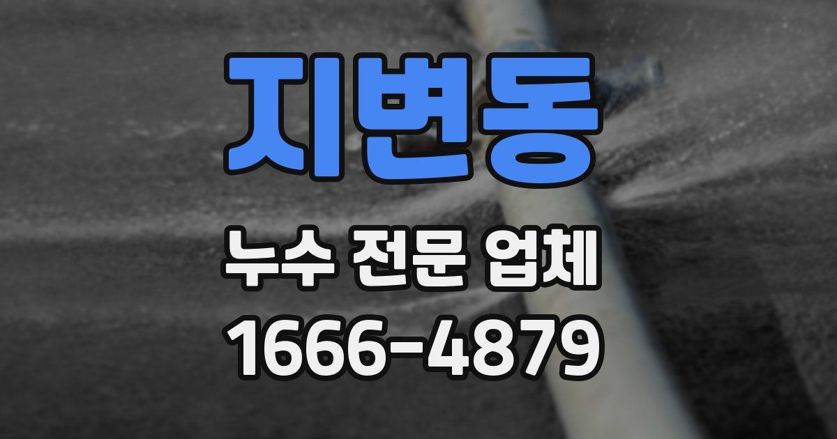 지변동 누수 전문 업체