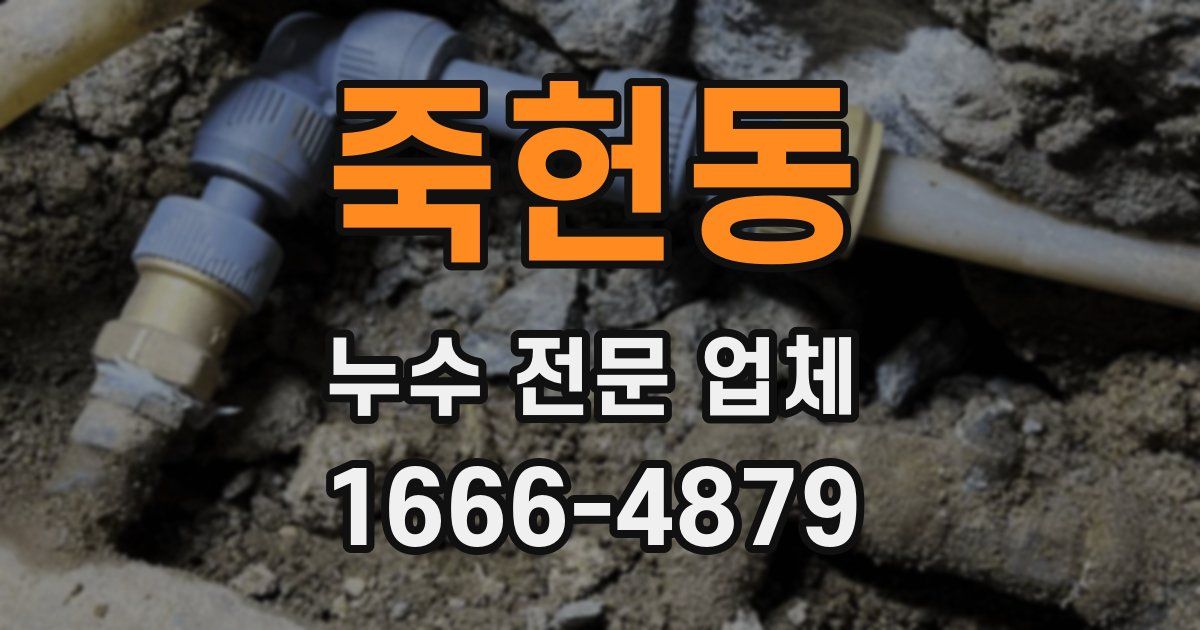 죽헌동 누수 전문 업체
