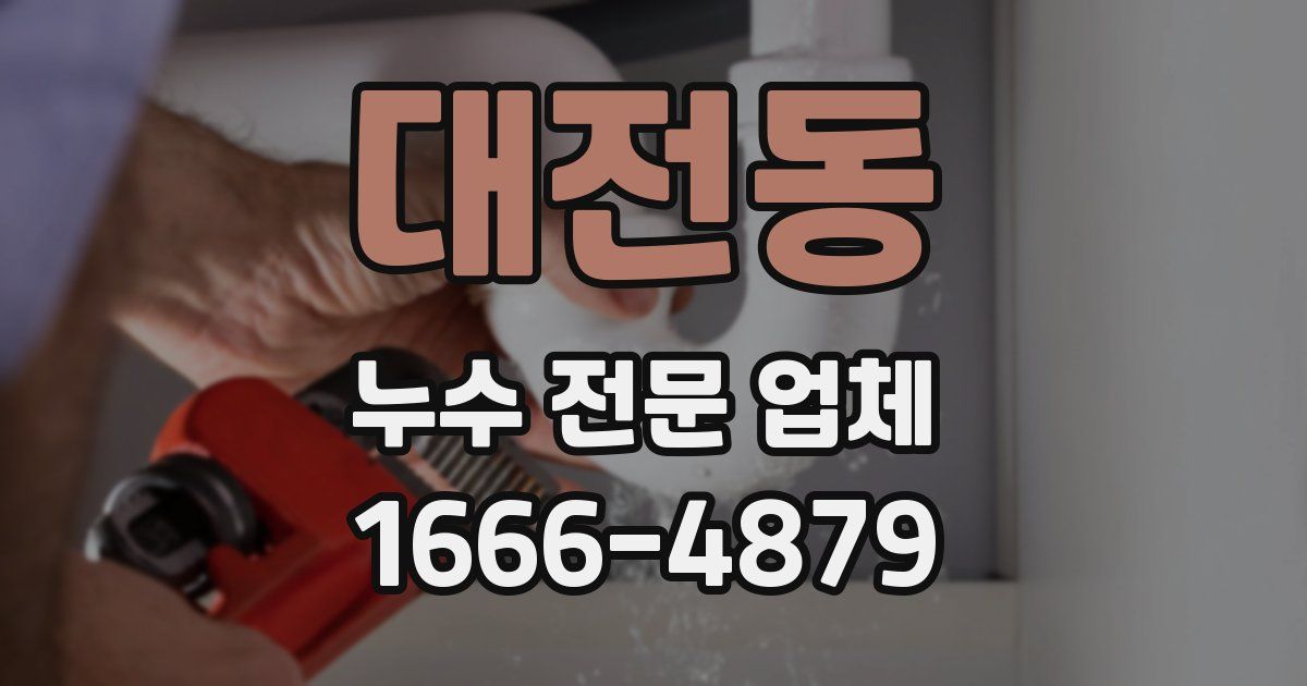 대전동 누수 전문 업체