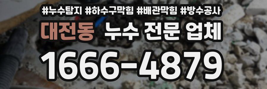대전동 누수 전문 업체