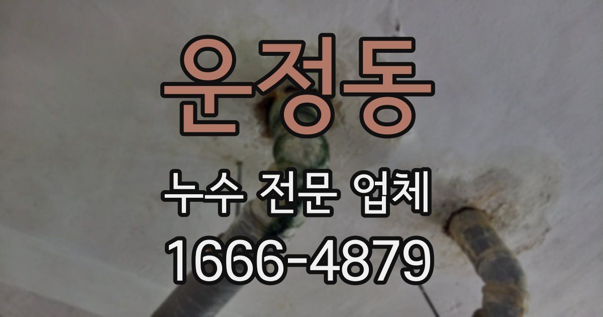 운정동 누수 전문 업체