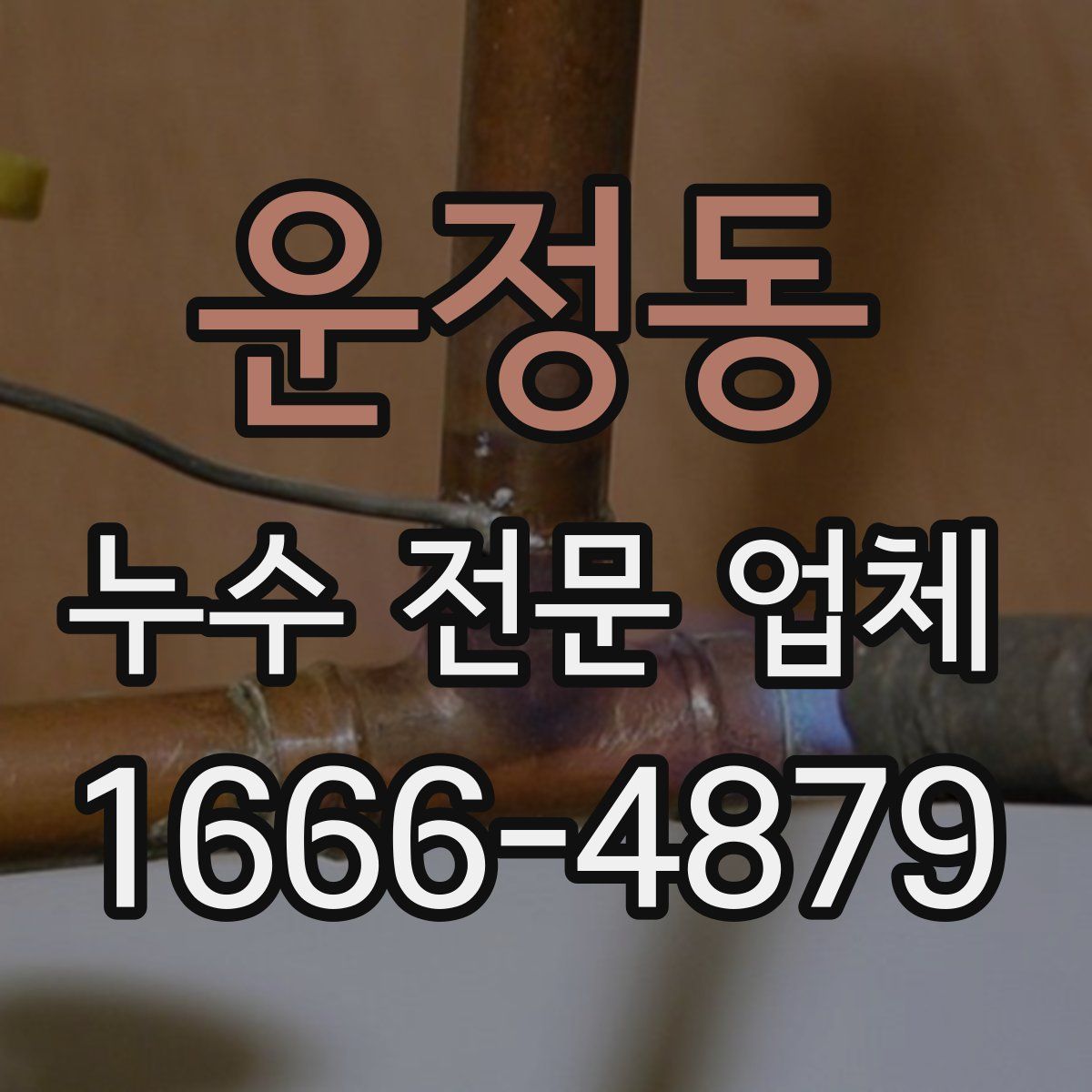 운정동 누수 전문 업체