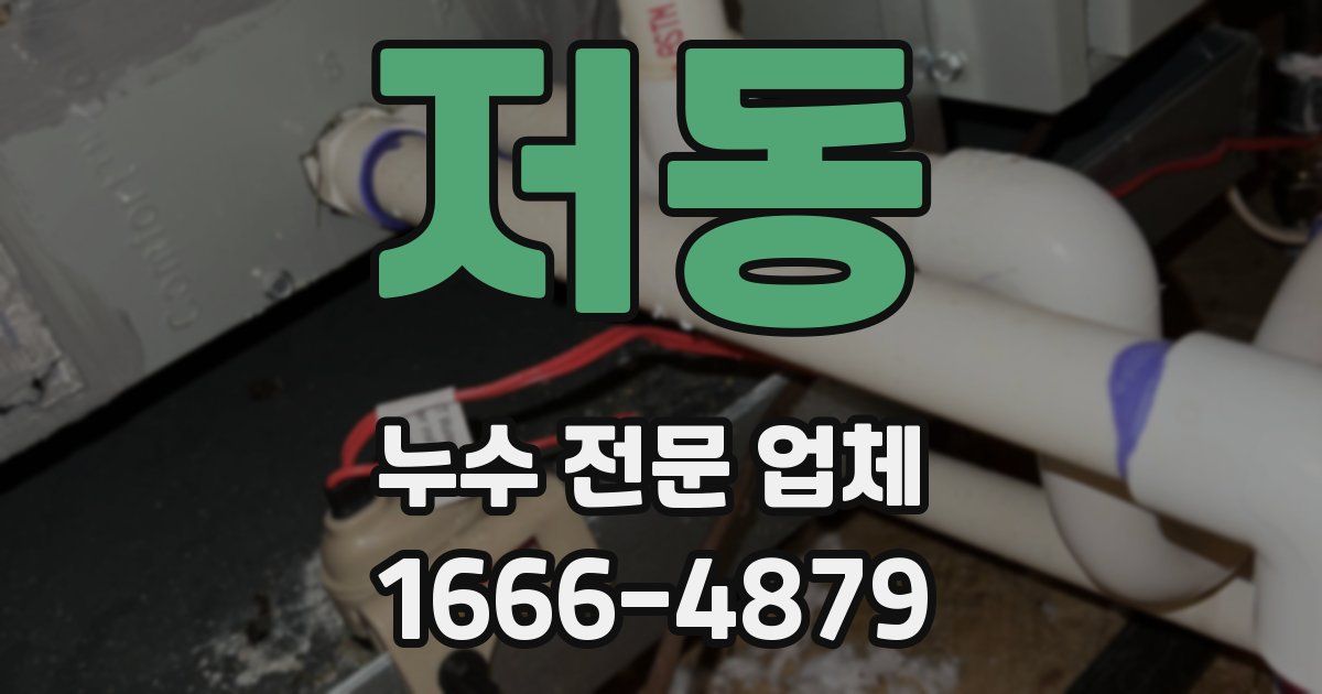 저동 누수 전문 업체