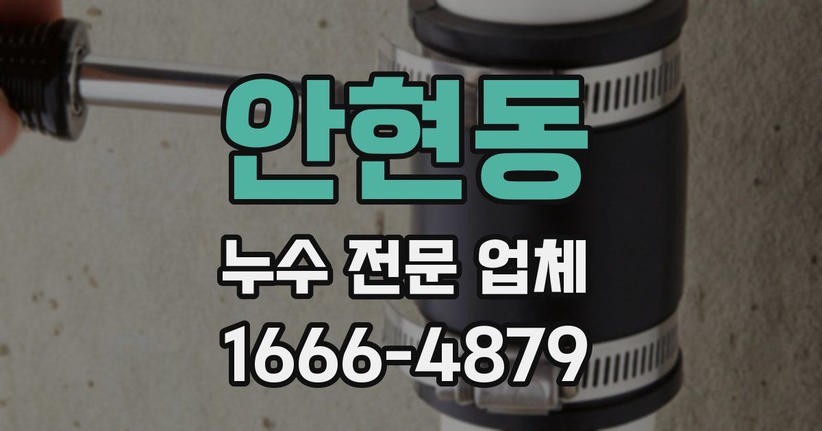 안현동 누수 전문 업체