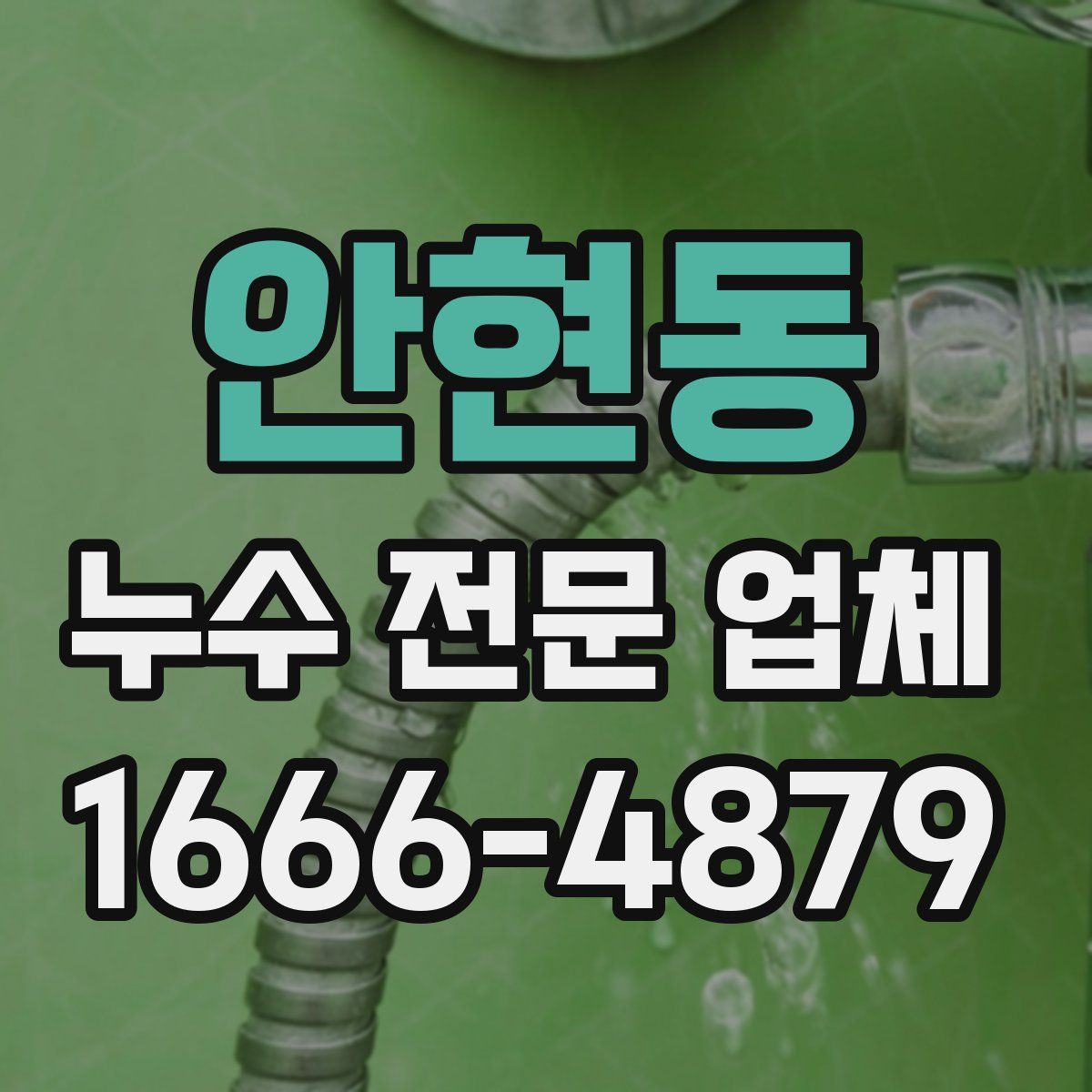 안현동 누수 전문 업체