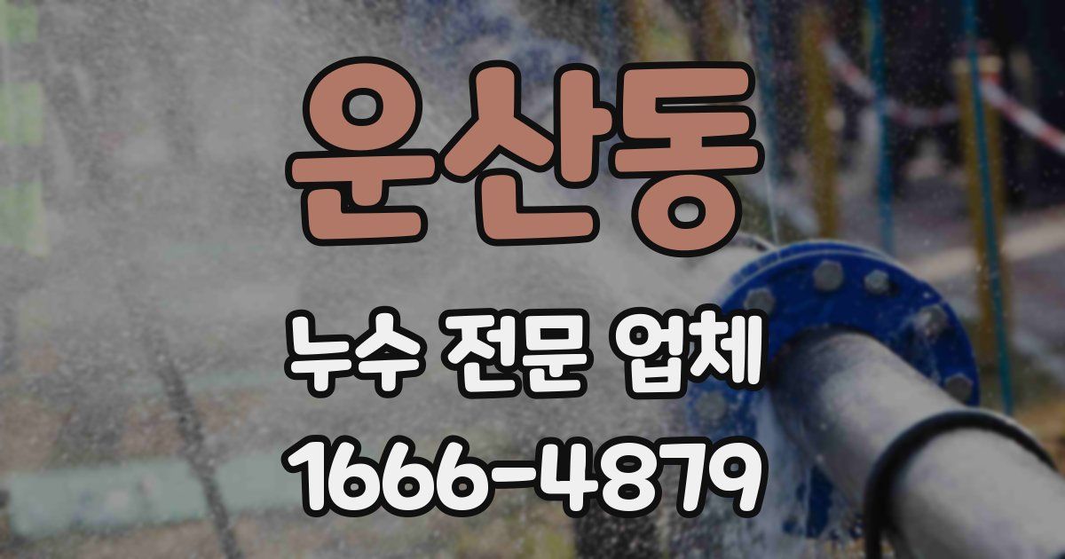 운산동 누수 전문 업체