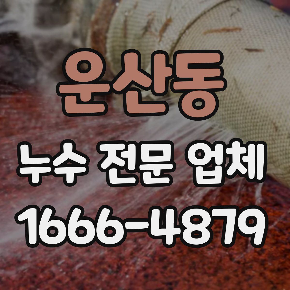 운산동 누수 전문 업체