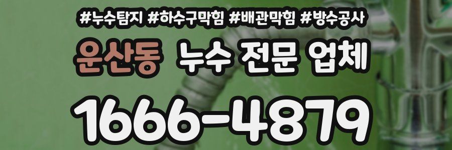 운산동 누수 전문 업체