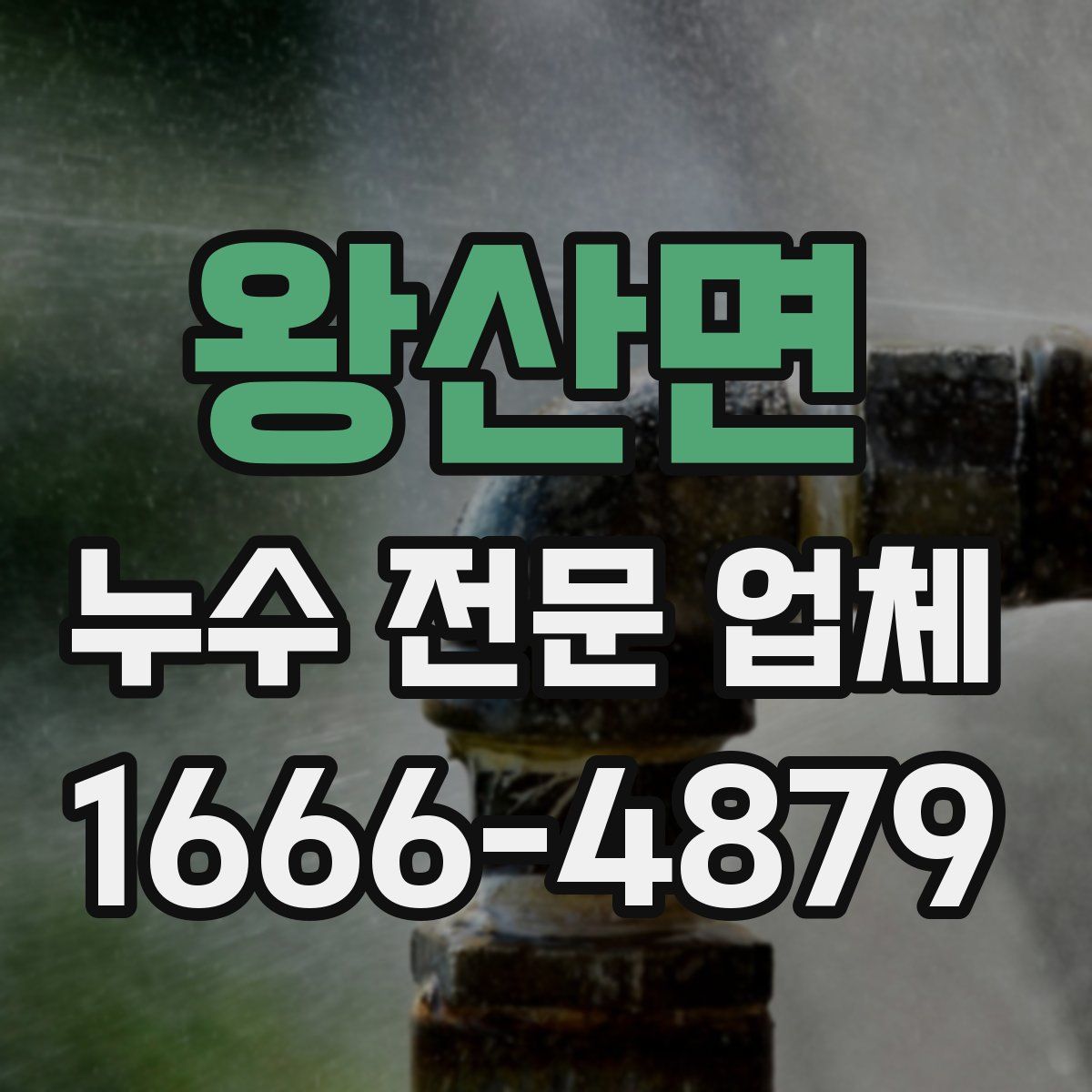 왕산면 누수 전문 업체