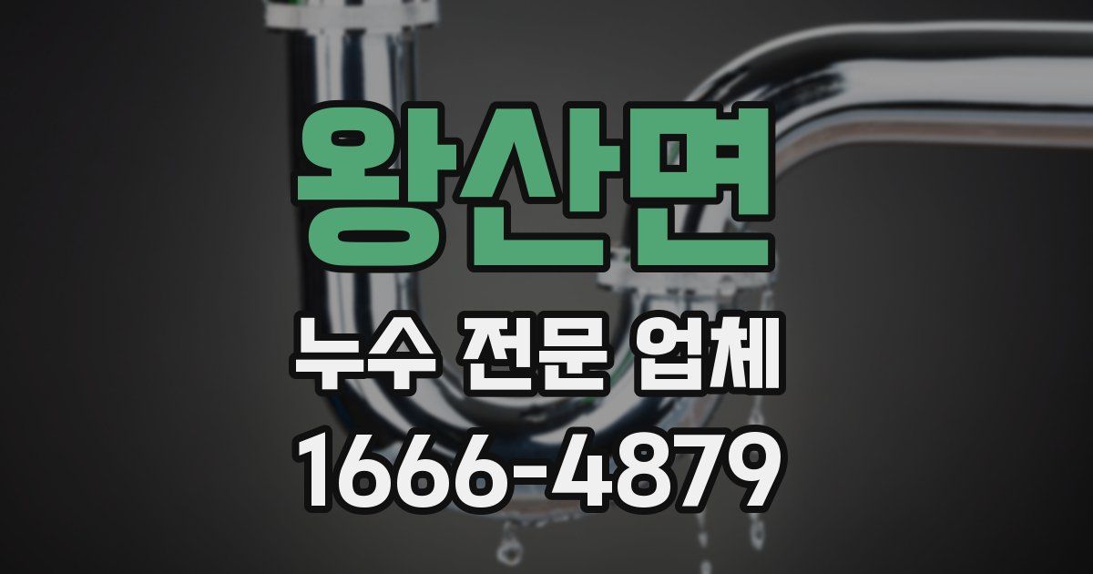 왕산면 누수 전문 업체