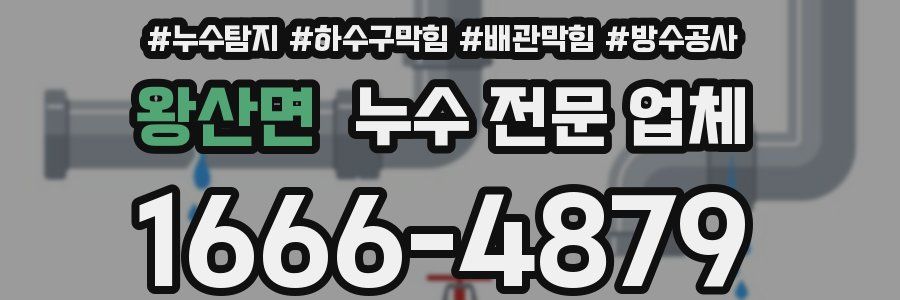 왕산면 누수 전문 업체