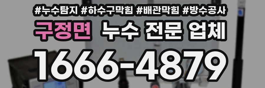구정면 누수 전문 업체