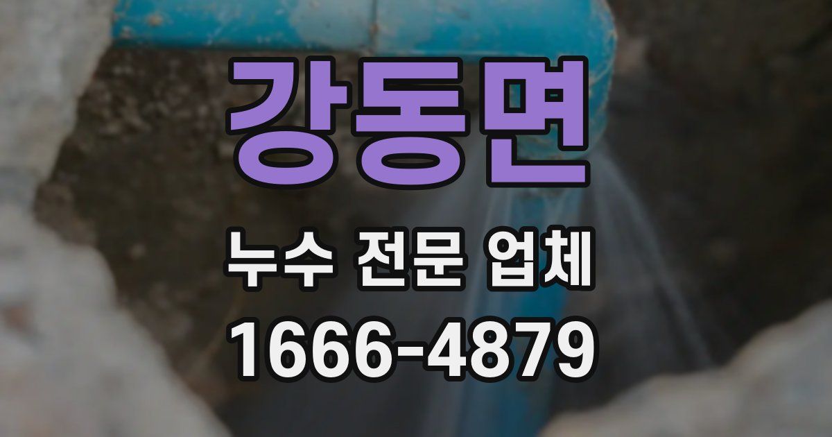 강동면 누수 전문 업체