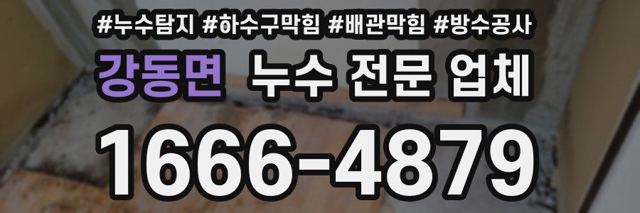 강동면 누수 전문 업체