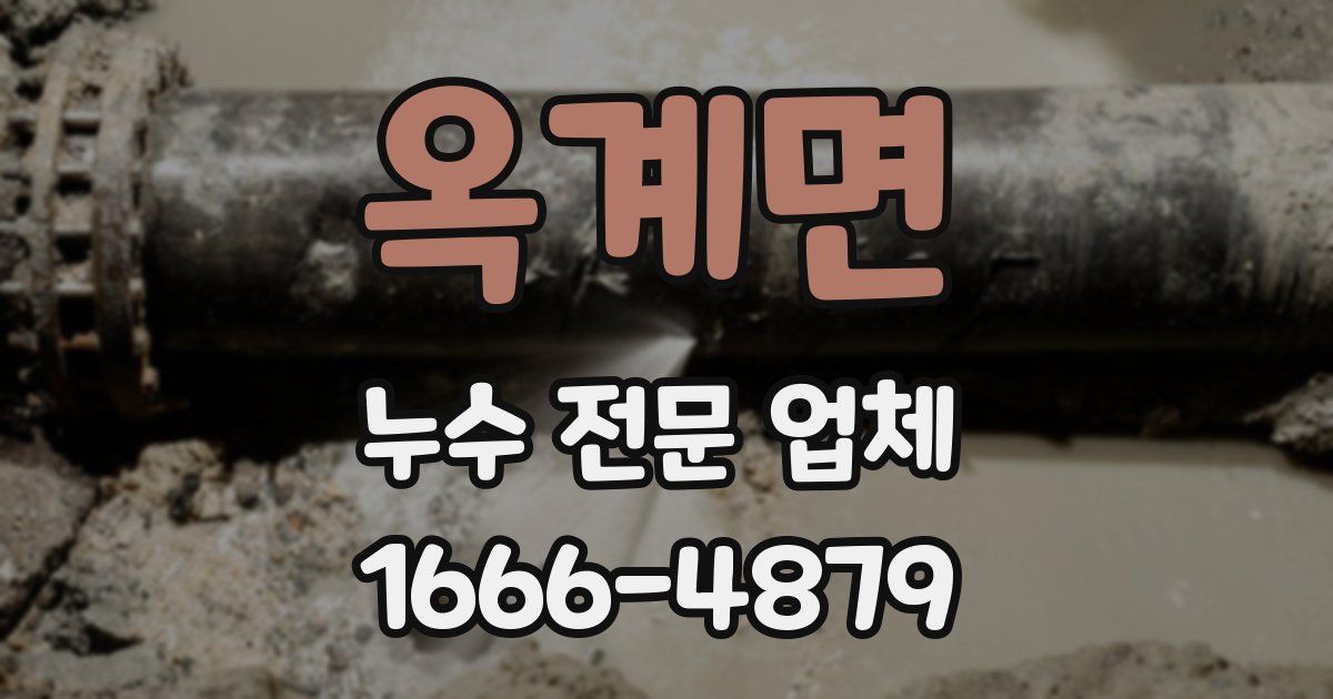 옥계면 누수 전문 업체