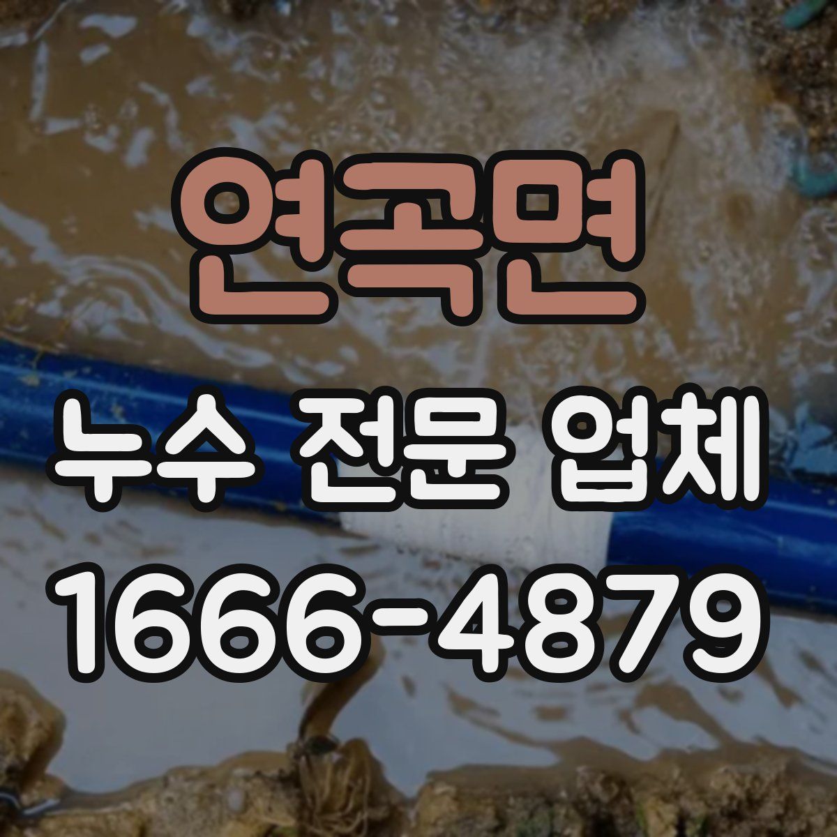 연곡면 누수 전문 업체