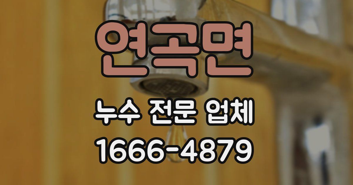 연곡면 누수 전문 업체