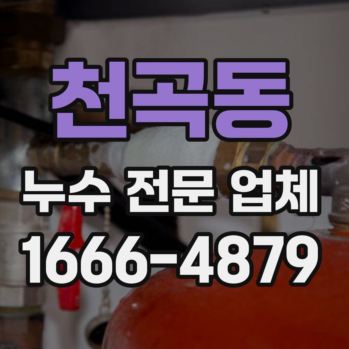 천곡동 누수 전문 업체