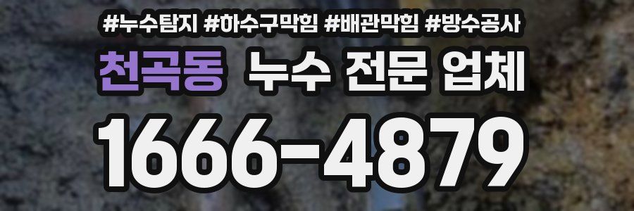 천곡동 누수 전문 업체