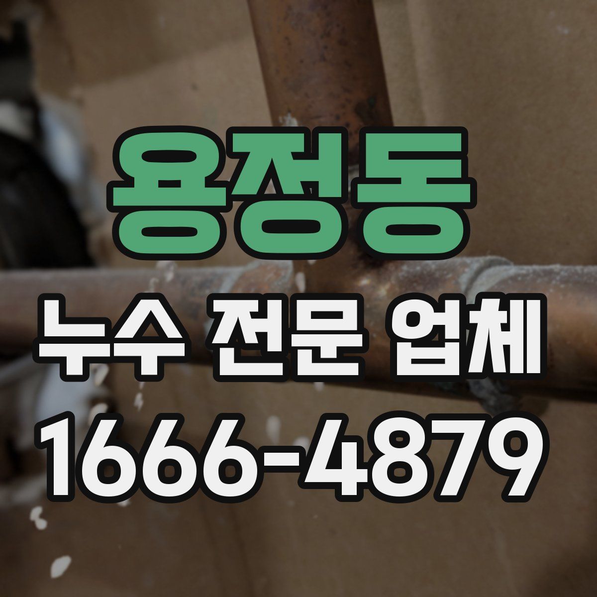 용정동 누수 전문 업체