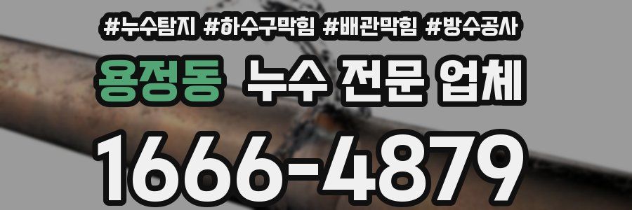 용정동 누수 전문 업체