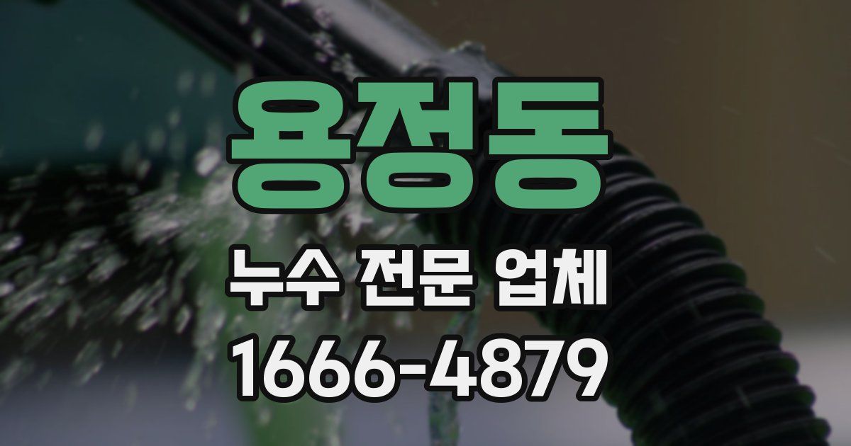 용정동 누수 전문 업체