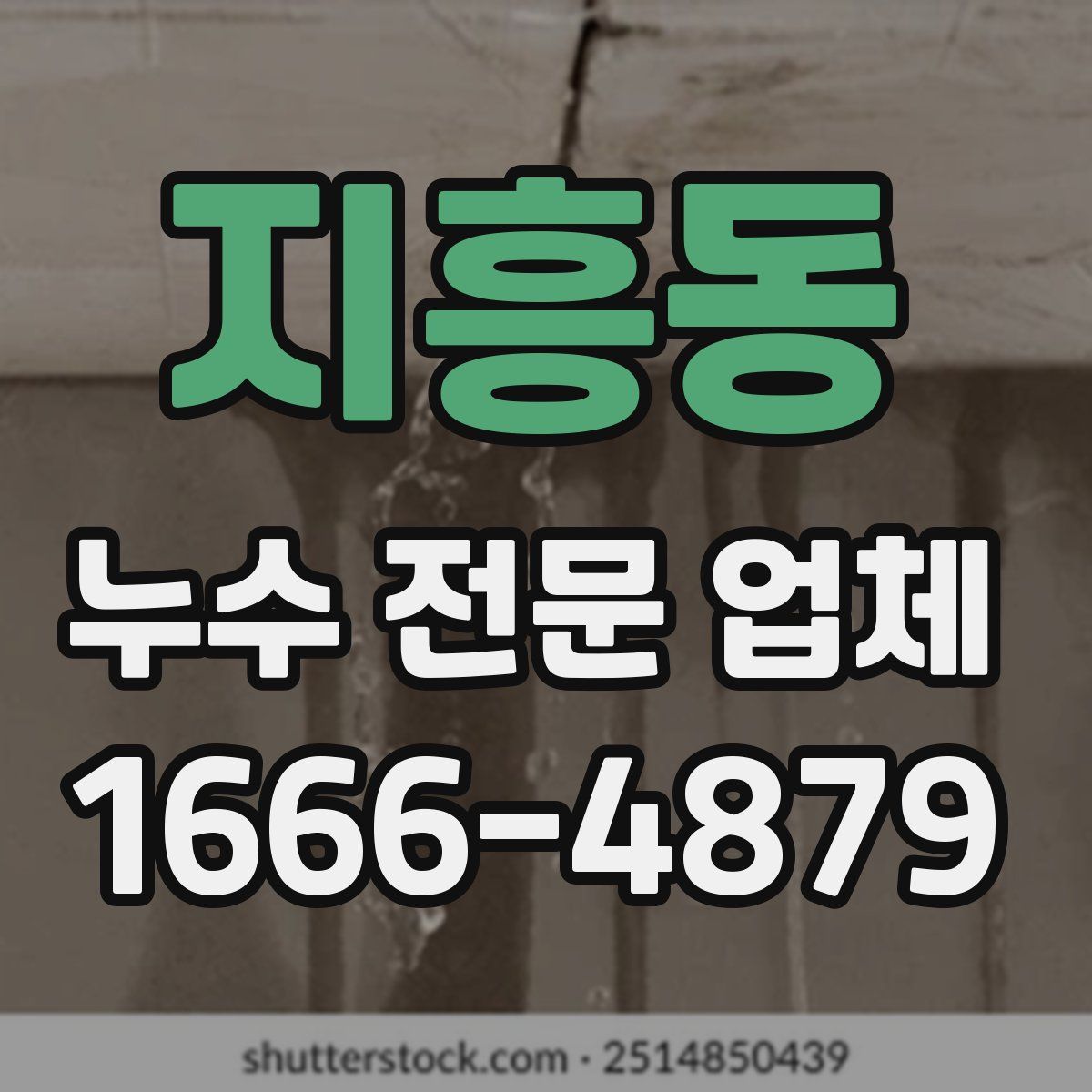 지흥동 누수 전문 업체