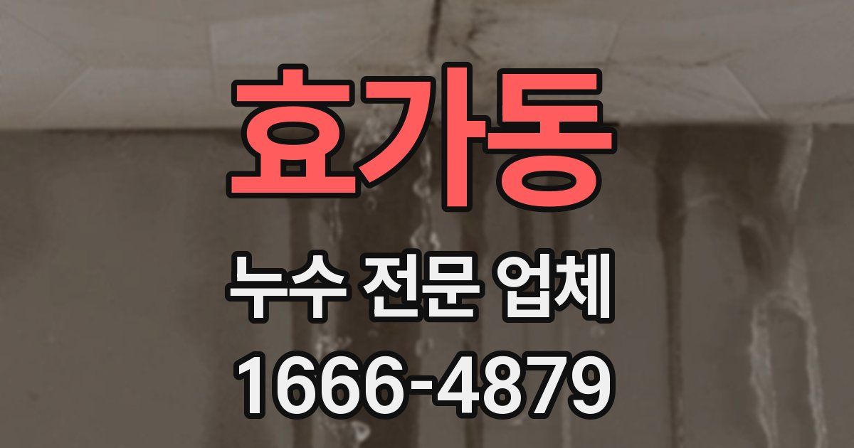 효가동 누수 전문 업체