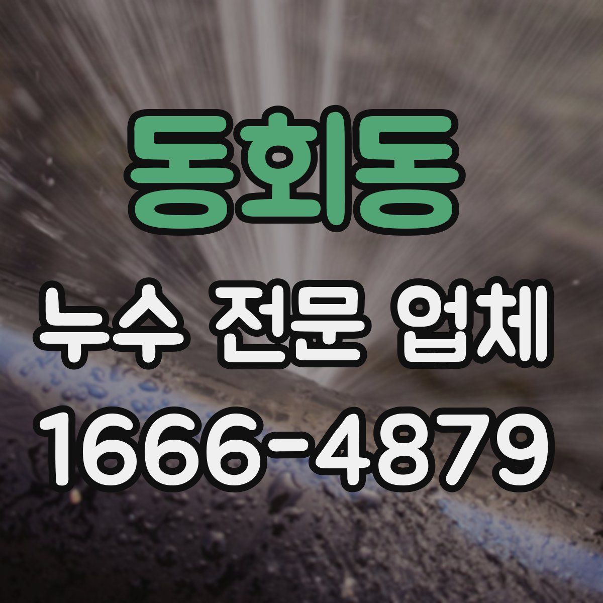 동회동 누수 전문 업체