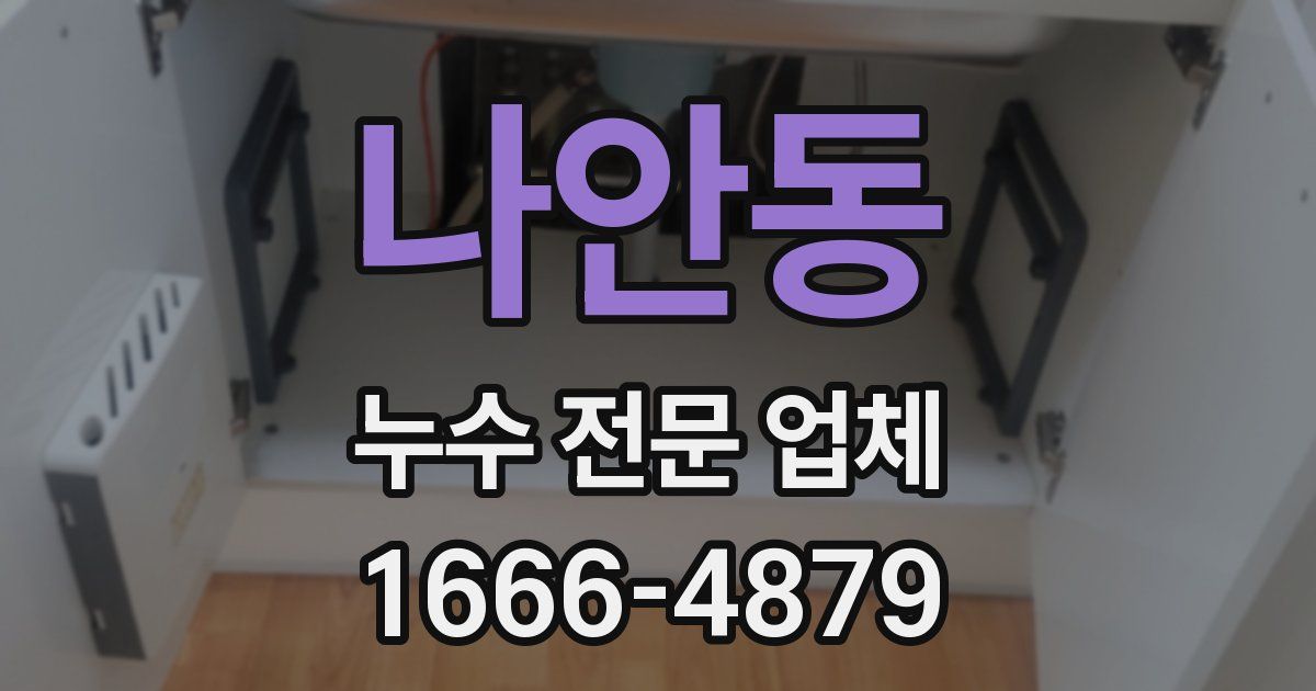 나안동 누수 전문 업체
