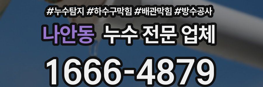 나안동 누수 전문 업체