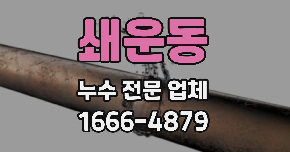 쇄운동 누수 전문 업체
