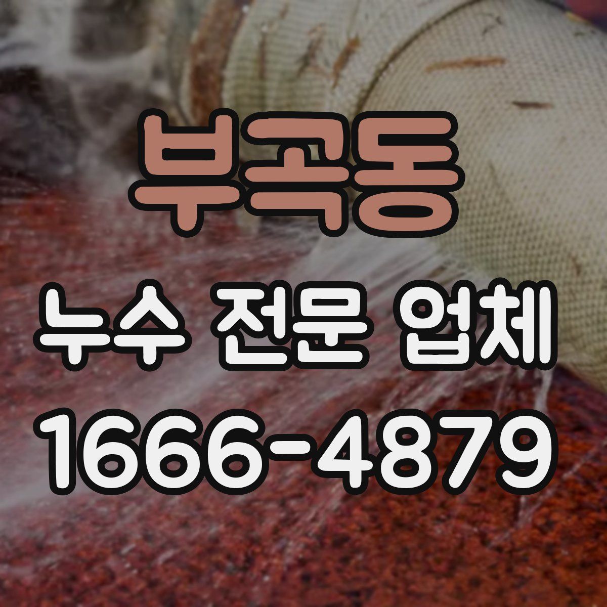 부곡동 누수 전문 업체