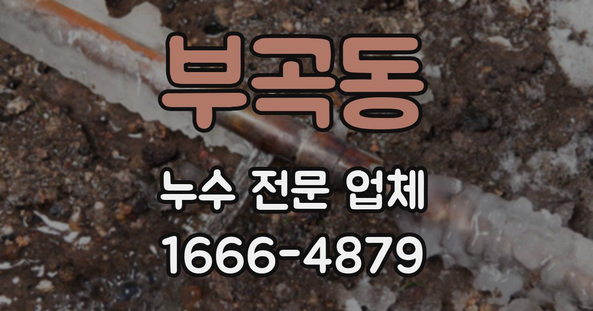 부곡동 누수 전문 업체