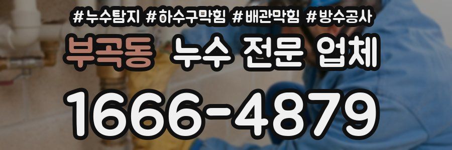 부곡동 누수 전문 업체