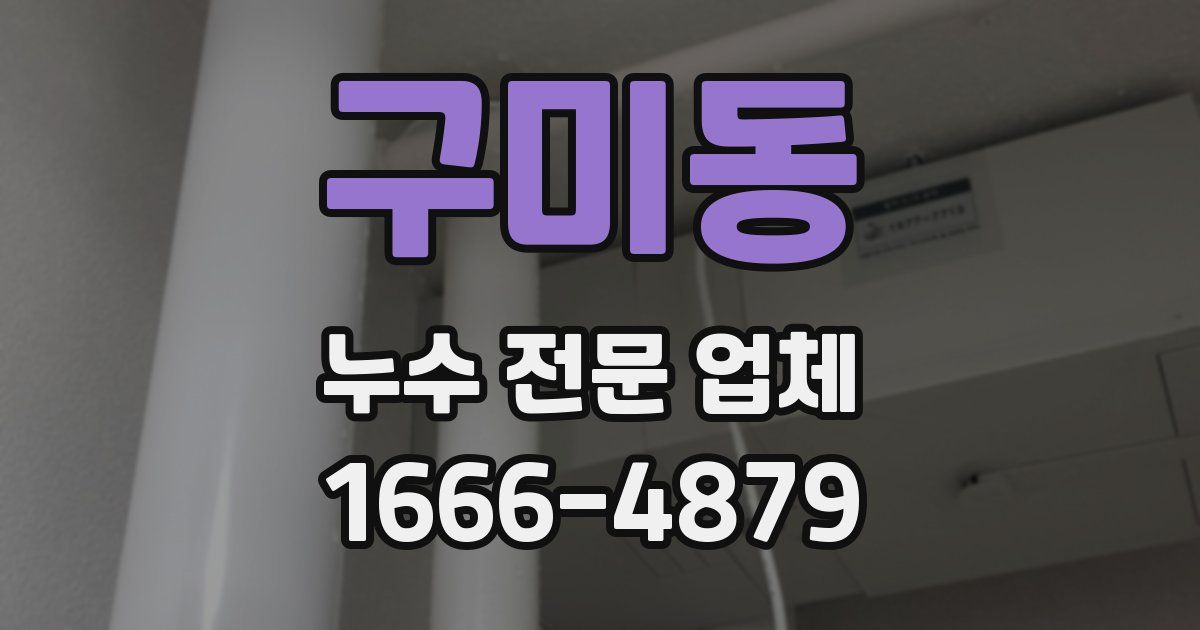 구미동 누수 전문 업체