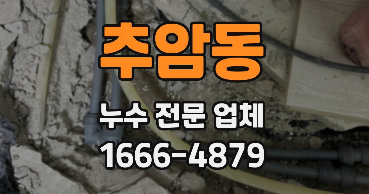 추암동 누수 전문 업체