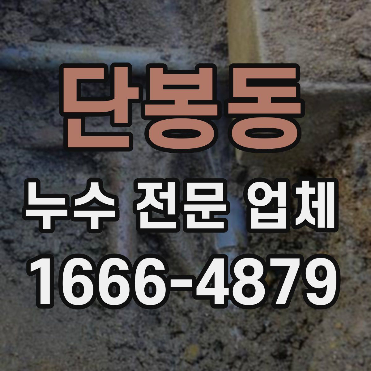 단봉동 누수 전문 업체