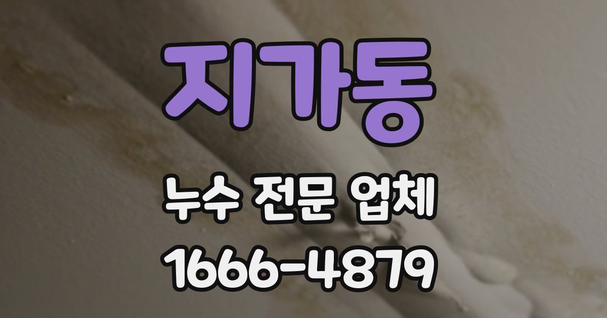 지가동 누수 전문 업체